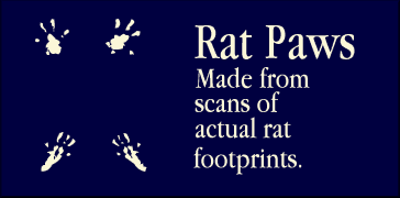 Rat Paws Font