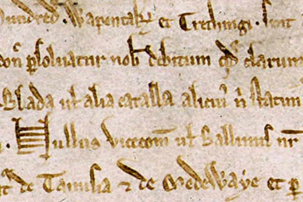 Magna Carta Font