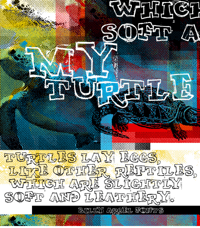 My Turtle Font