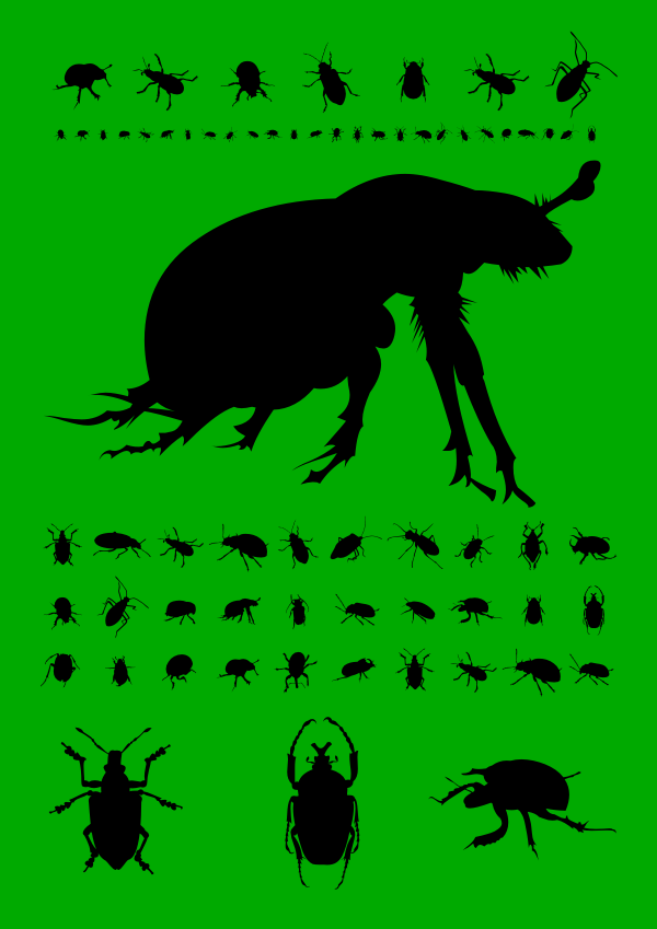 The Beetles Font