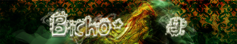 Bicho Font