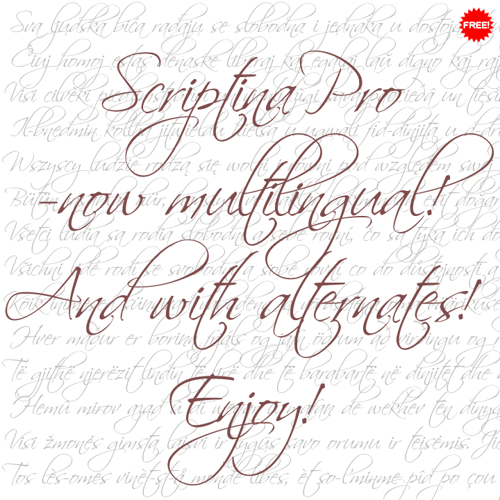 Scriptina Pro Font