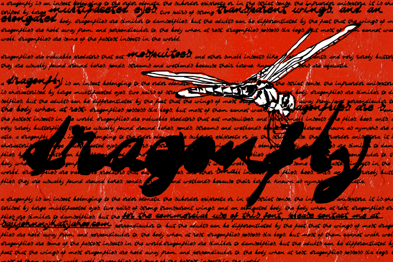 Dragonfly Font