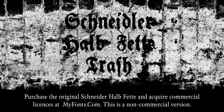Schneidler Halb Fette Font