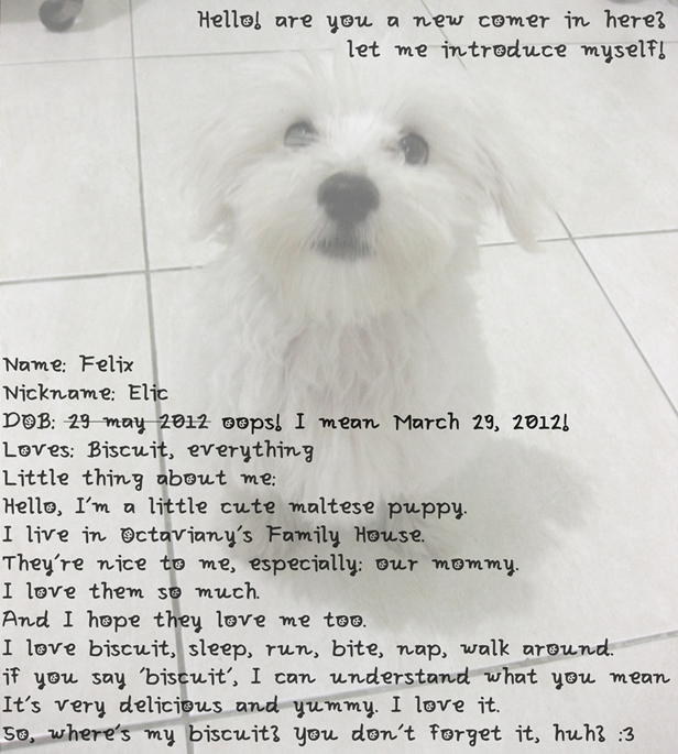 Elic Loves Biscuit Font