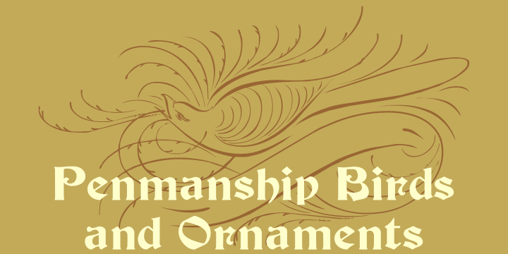 Penmanship Birds and Ornaments Font