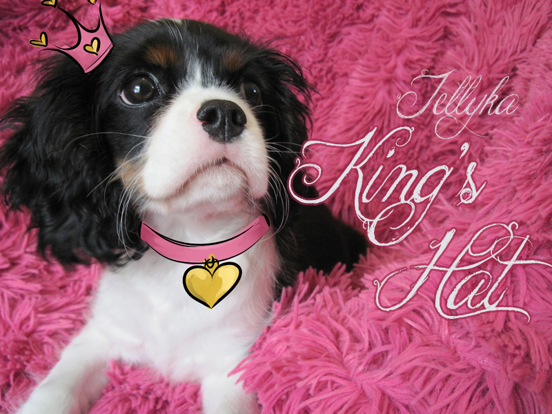 Jellyka King's Hat Font