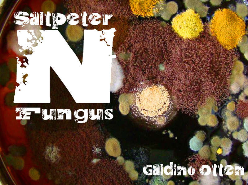 Saltpeter N Fungus Font