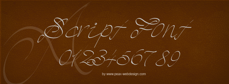 PW Script Font