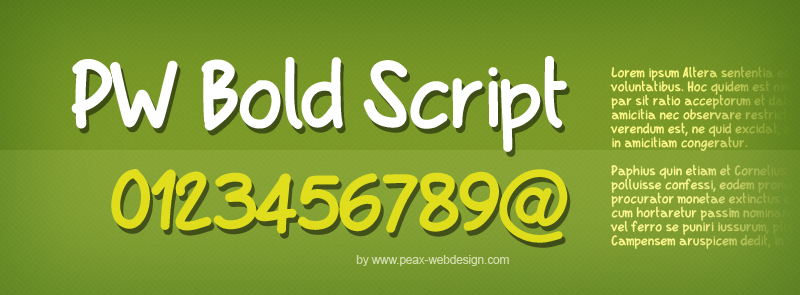 PW Bold Script Font