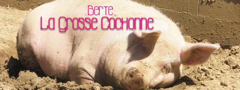 La Grosse Cochonne Font
