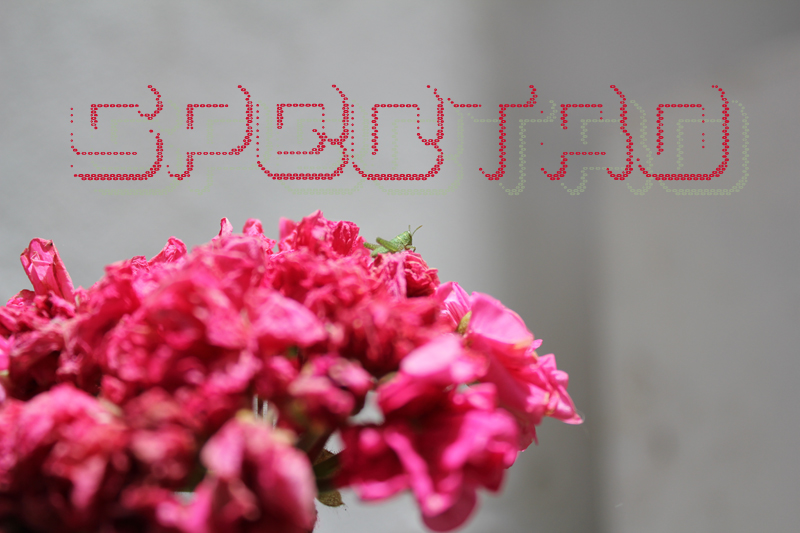 Spectro Font