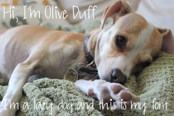 Olive Charming Font