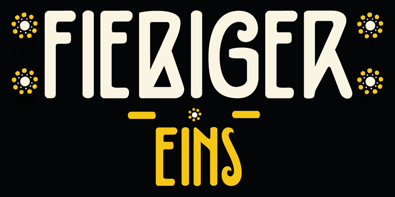 DK Fiebiger Eins Font
