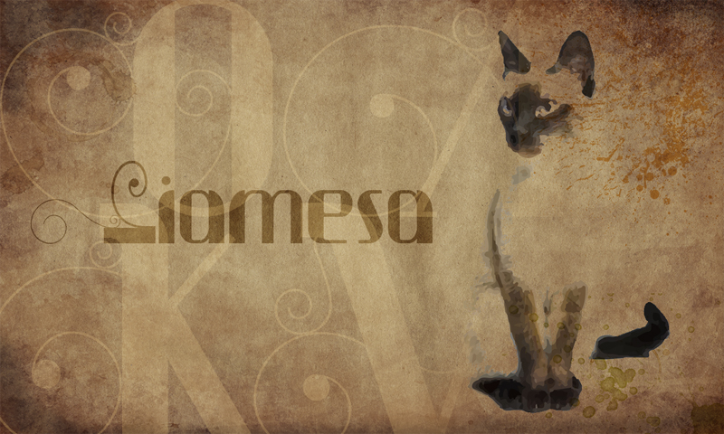 Siamesa Font