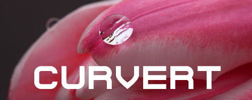 Curvert Font