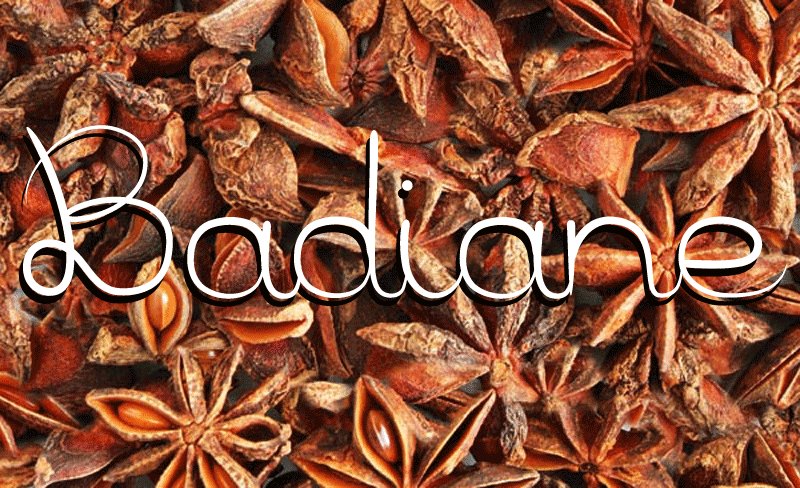 Badiane Font
