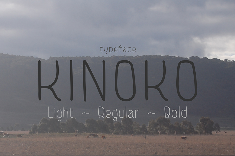 Kinoko Font