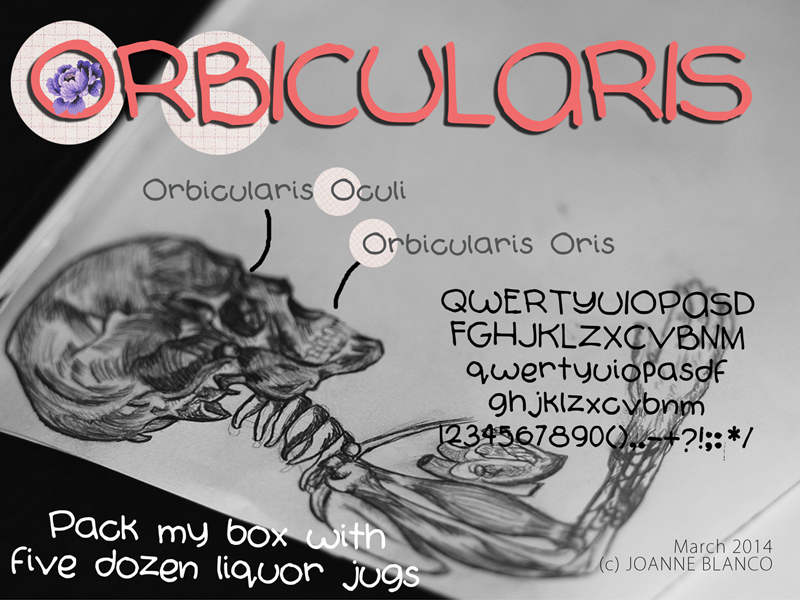 Orbicularis Font