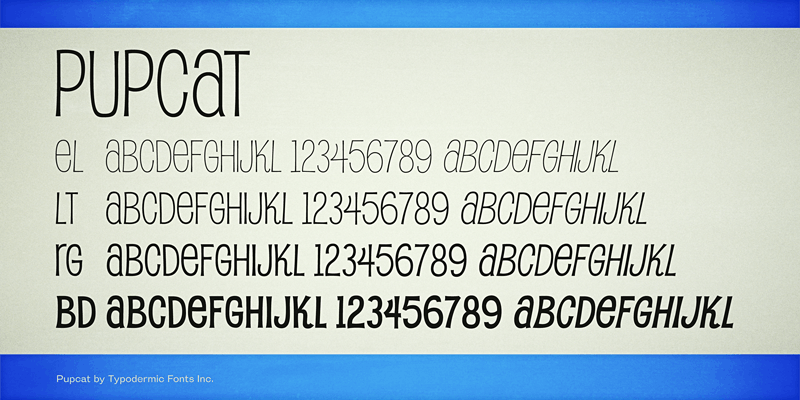 Pupcat Font