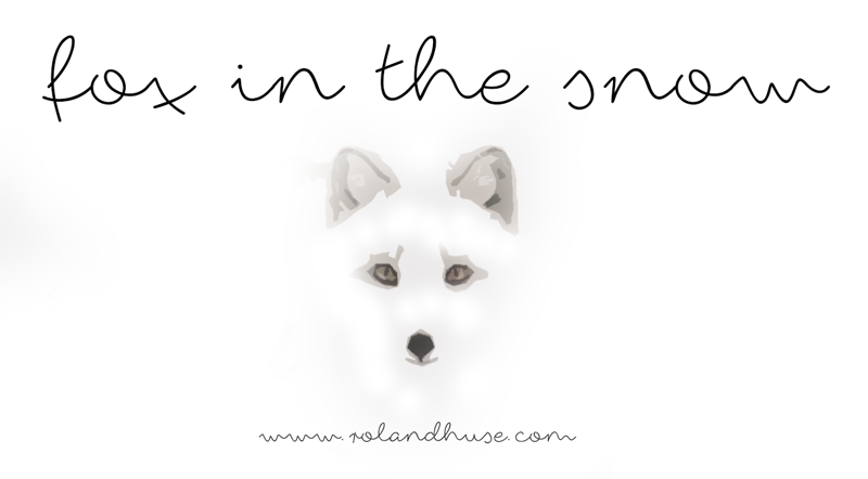 Fox in the snow Font