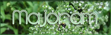 Majoram Font