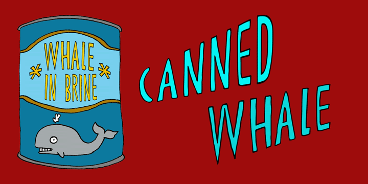 DK Canned Whale Font