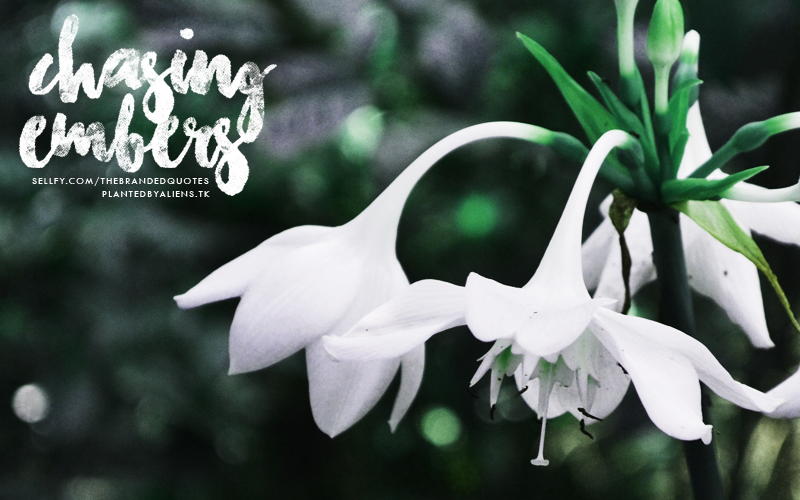 Chasing Embers Font