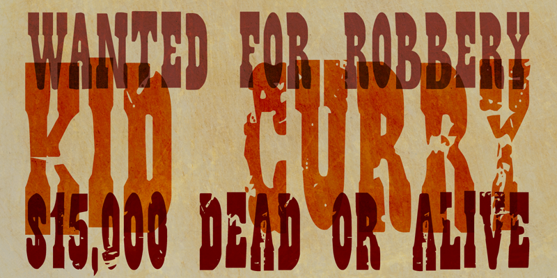 DK Wild Bunch Font