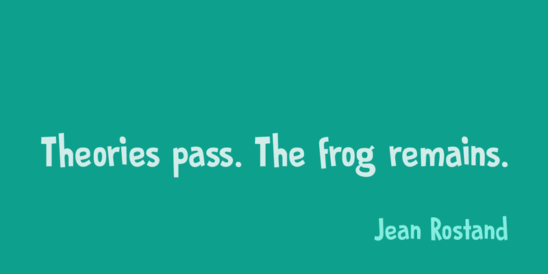 DK Prince Frog Font