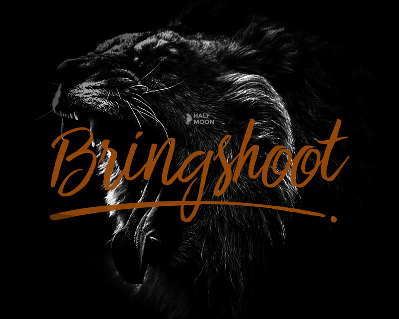 Bringshoot Font