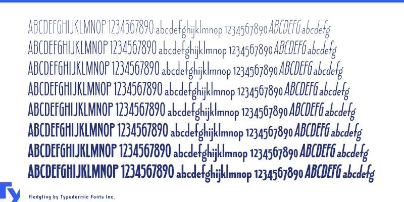 Fledgling Font