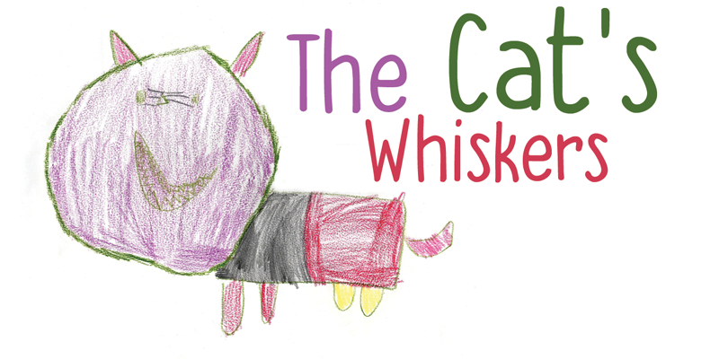 DK The Cats Whiskers Font