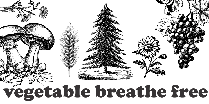 Vegetable Breathe Font