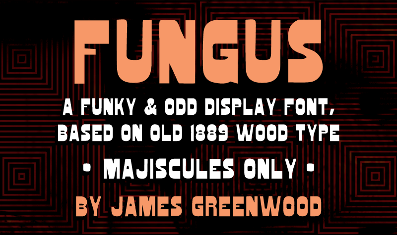 Fungus Font