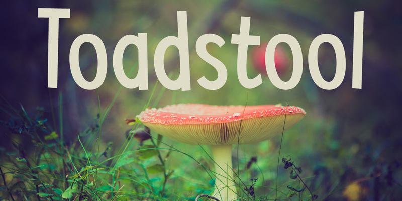DK Toadstool Font