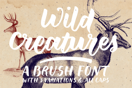 Wild Creatures Font