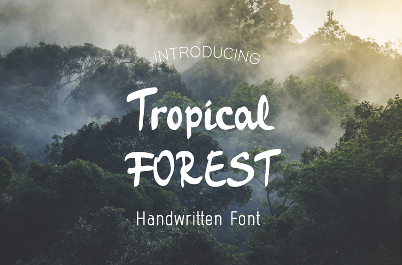 Tropical Forest Font