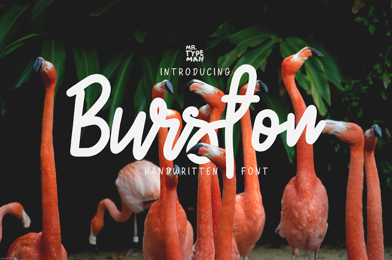 Burston Font