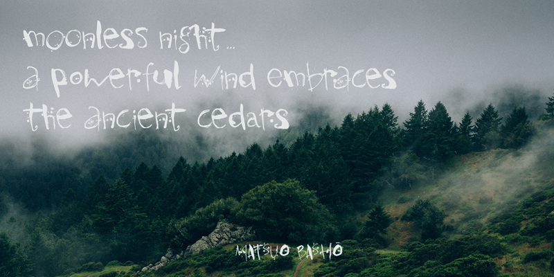 DK Kodama Forest Font