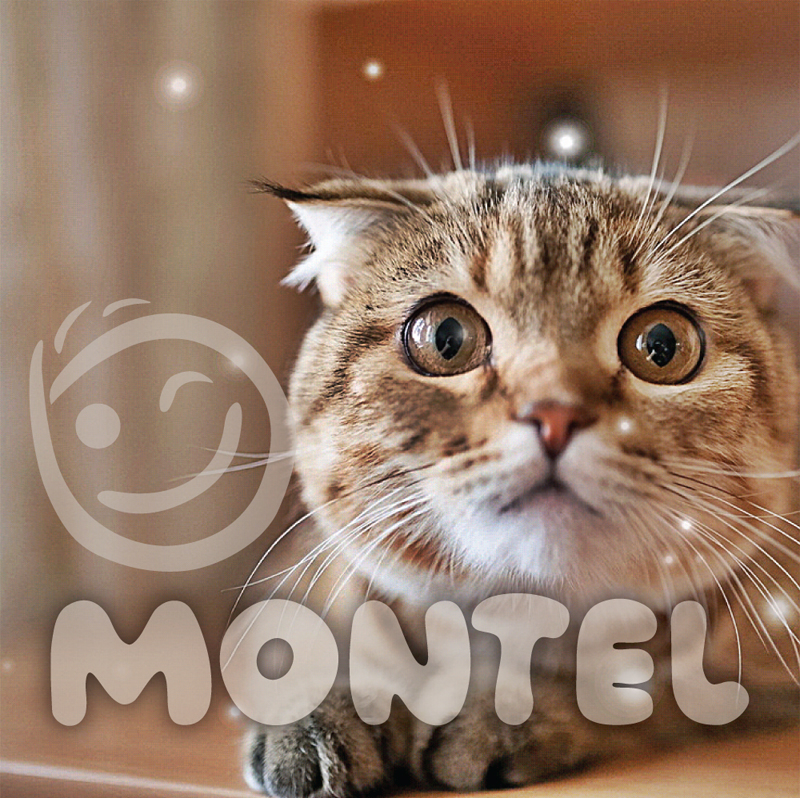 Montel Font