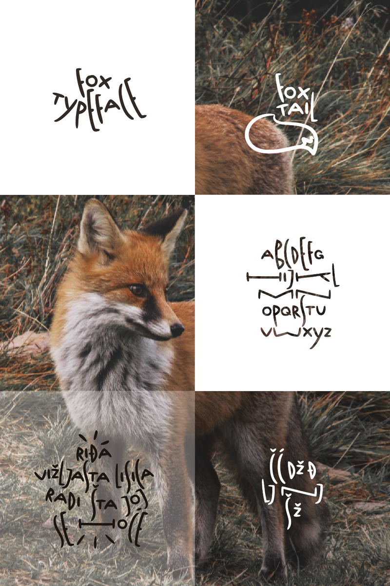 Fox Typeface Font