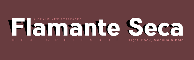 Flamante Seca Font