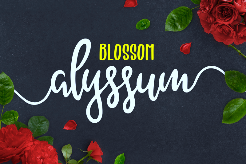 Alyssum Font