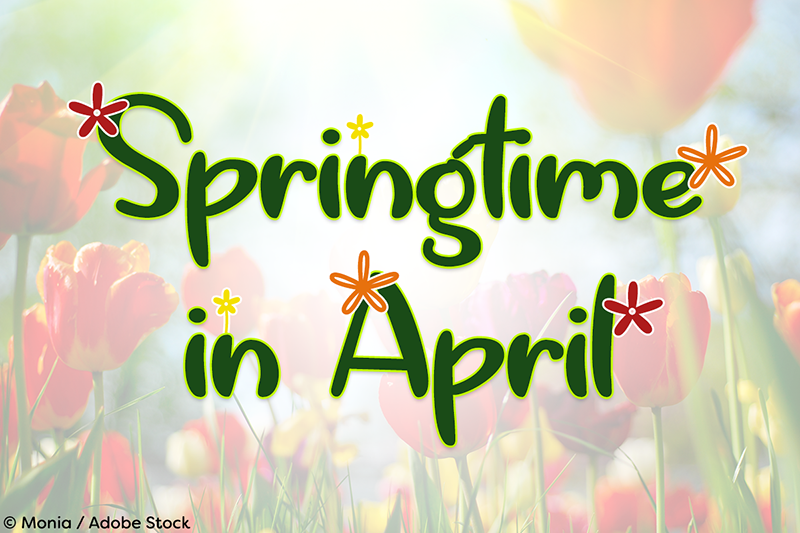 Springtime in April Font