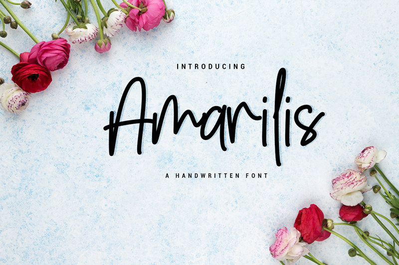 Amarilis Font