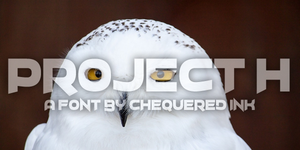 Project H Font