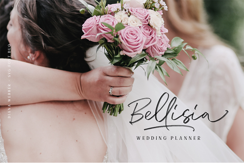 Diana Webber Font
