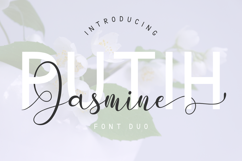 Putih Jasmine Font
