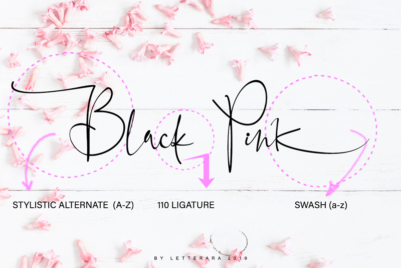 Black Pink Signature Font
